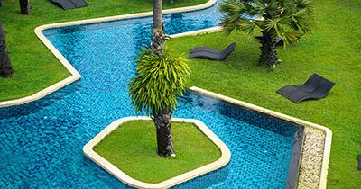 Outdoor swimming pool with palms, grass and beach beds